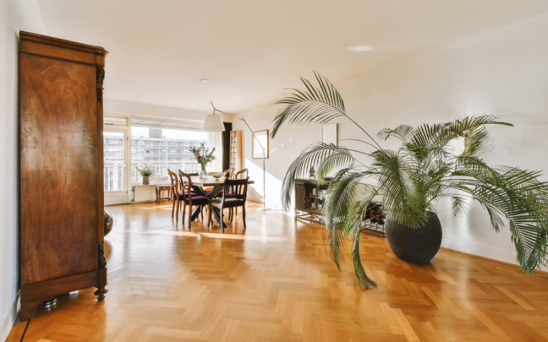 Raspagem de tacos e assoalhos